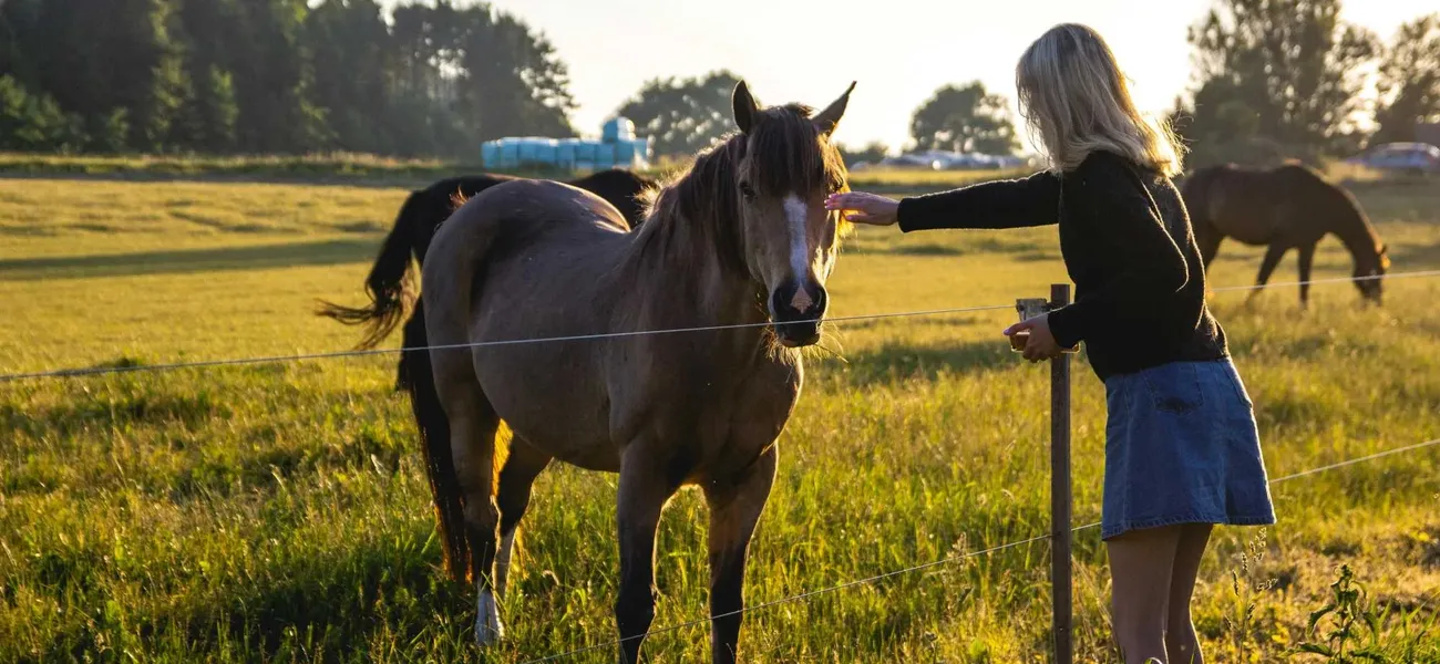 Eine Frau streichelt ein Pferd auf einer Weide im Sonnenuntergang