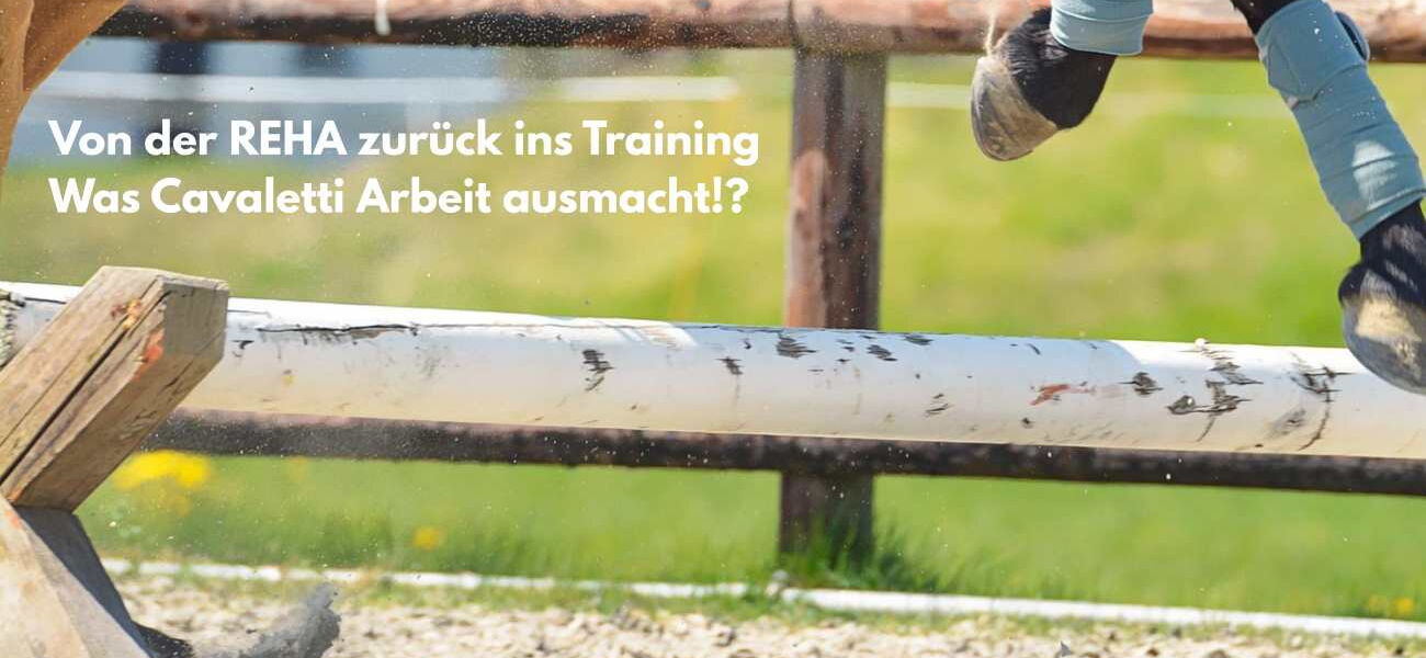 Ein Pferd springt über ein Cavaletti