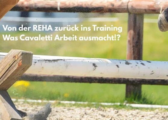 Ein Cavaletti auf einem Reitplatz