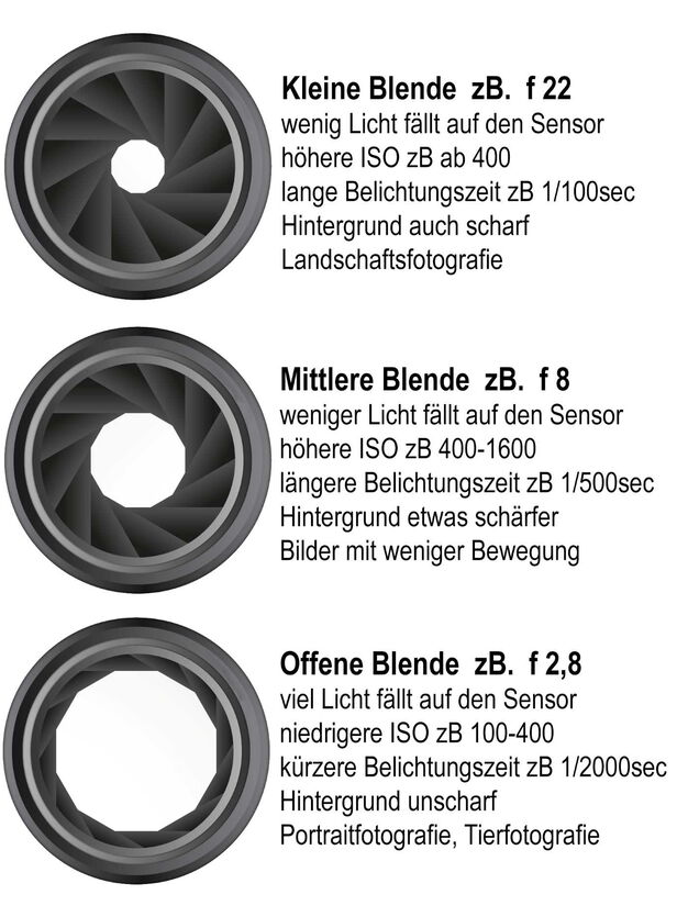 Eine Infografik im Bereich Pferdefotografie zu unterschiedlichen Blenden und deren Einsatzgebieten